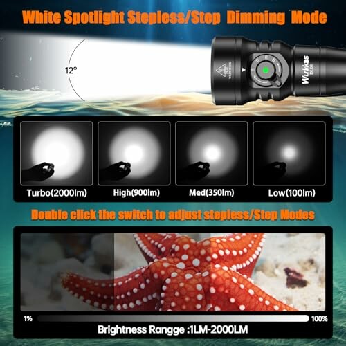 Flashlight with adjustable brightness settings and starfish in background.